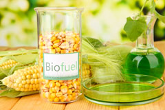Salcombe biofuel availability